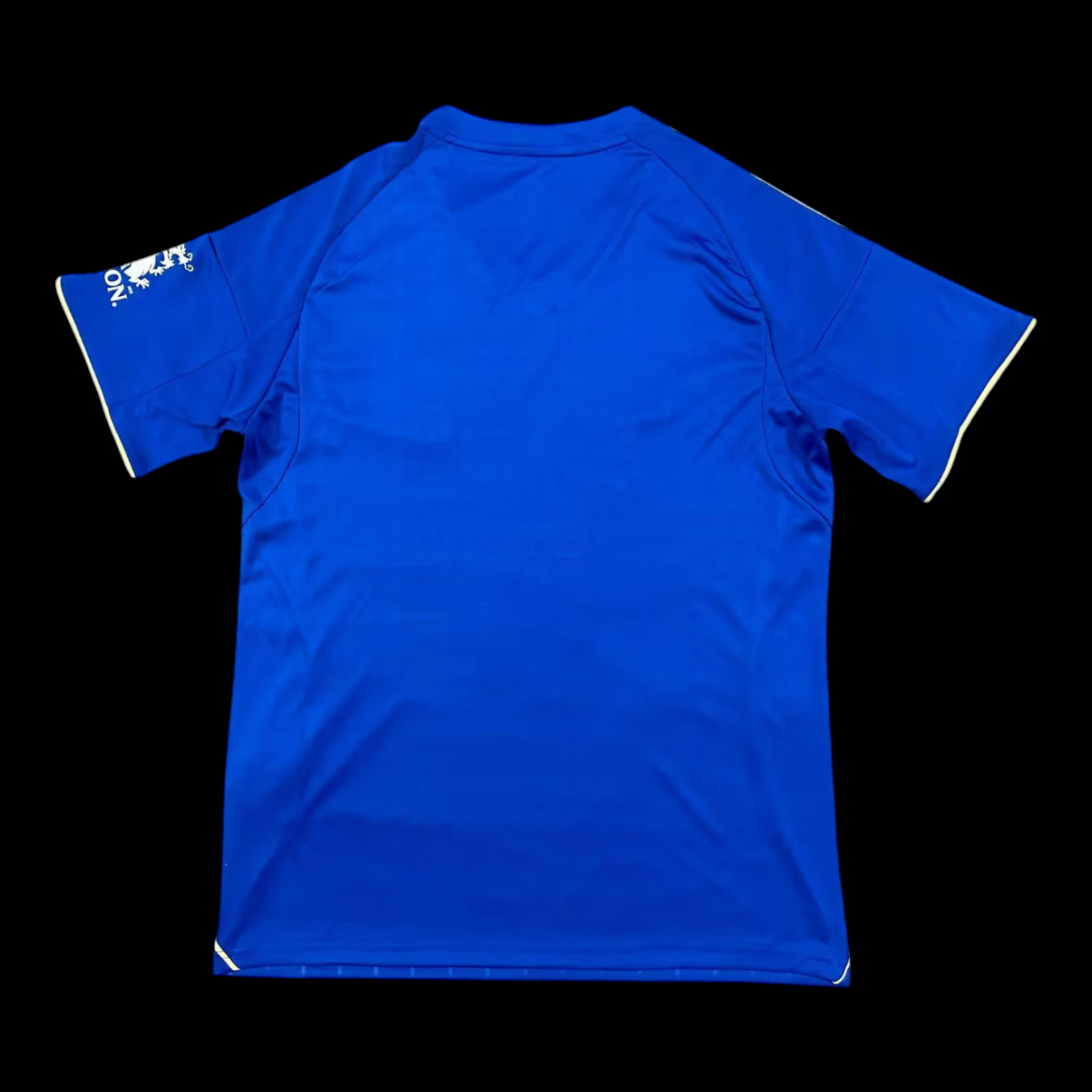 Vue arrière Leicester City Maillot Domicile 2526